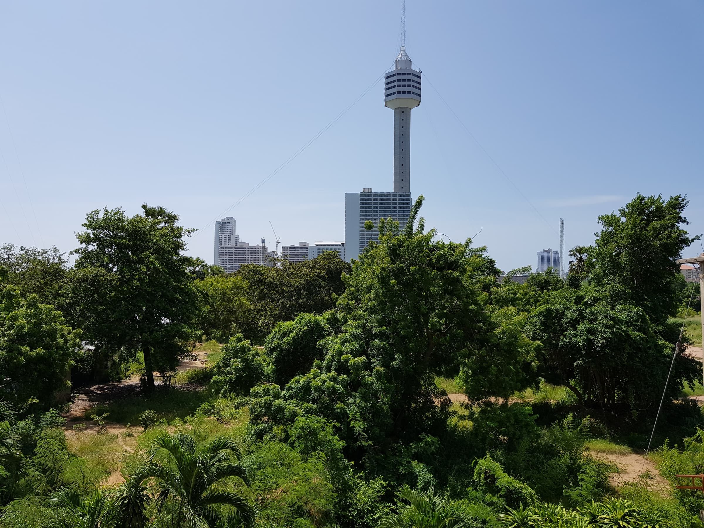 Blick vom Balkon über Baumkronen auf den Pattaya Park Tower und die Hochhäuser der Umgebung