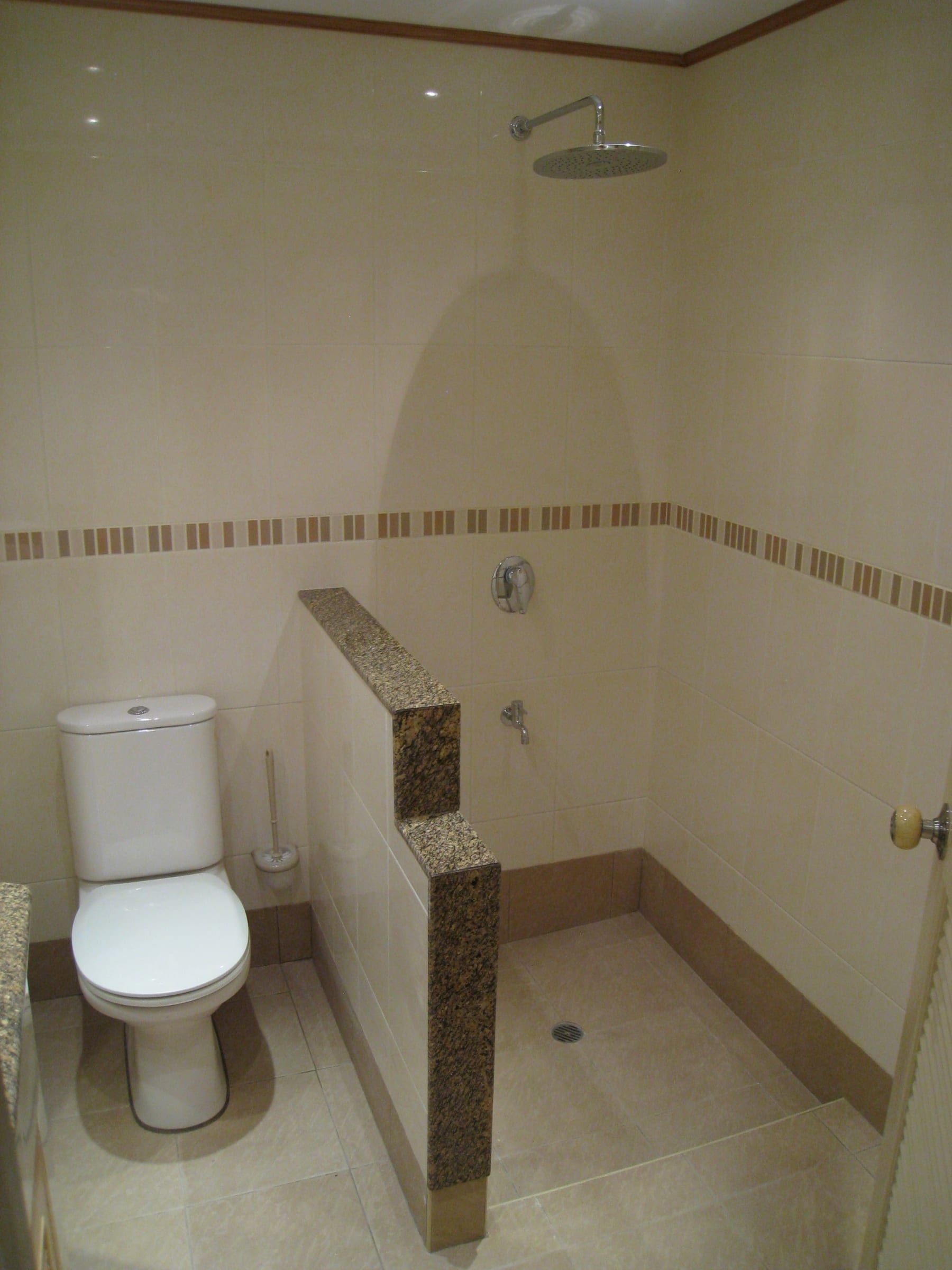 Bathroom with toilet and tiled shower area with rain shower